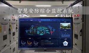 九游娱乐文化：深圳租车热门车型一车难求2024汽车租赁行业市场现状调研(图3)